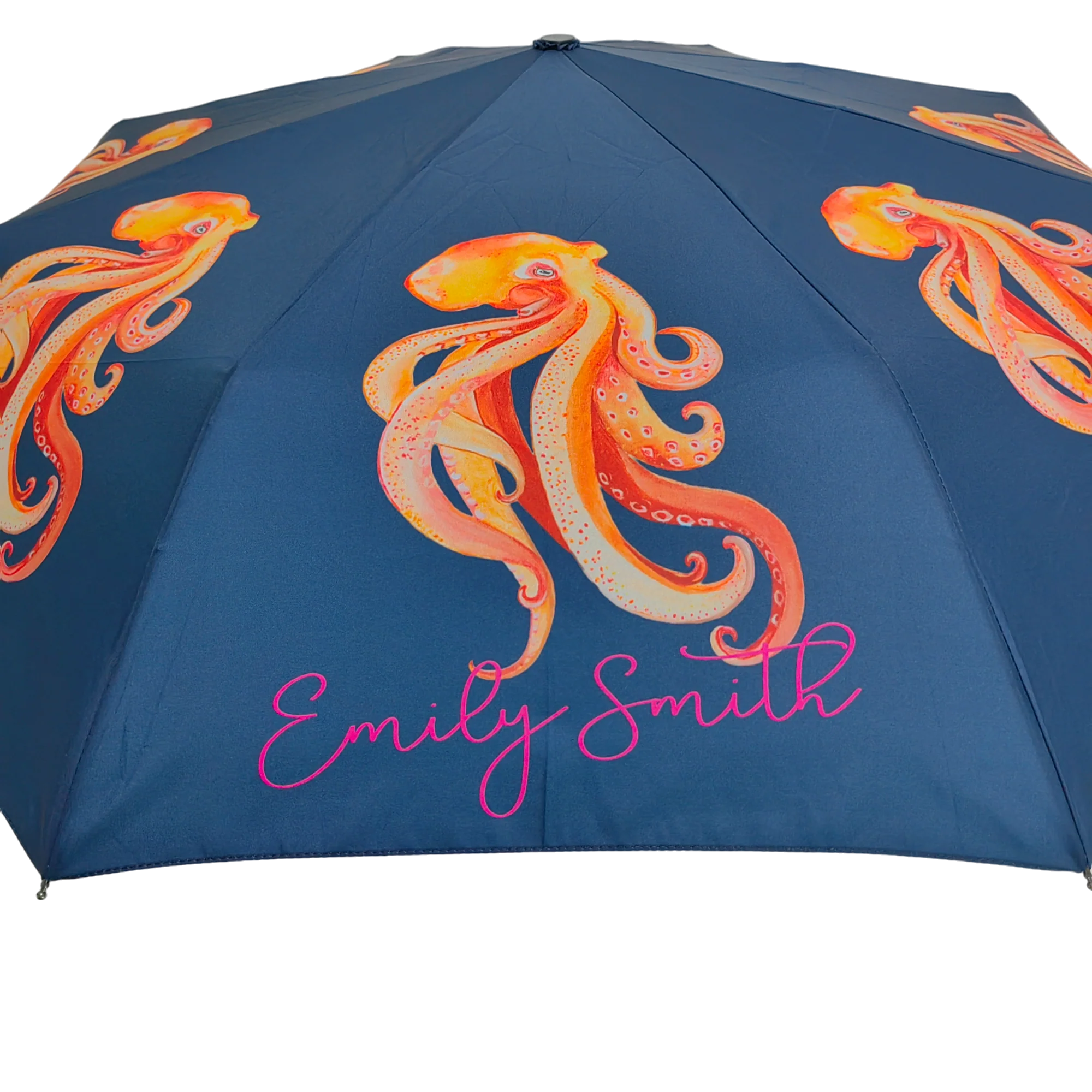Emily Smith Designs Oscar Compact Umbrella - Image 6