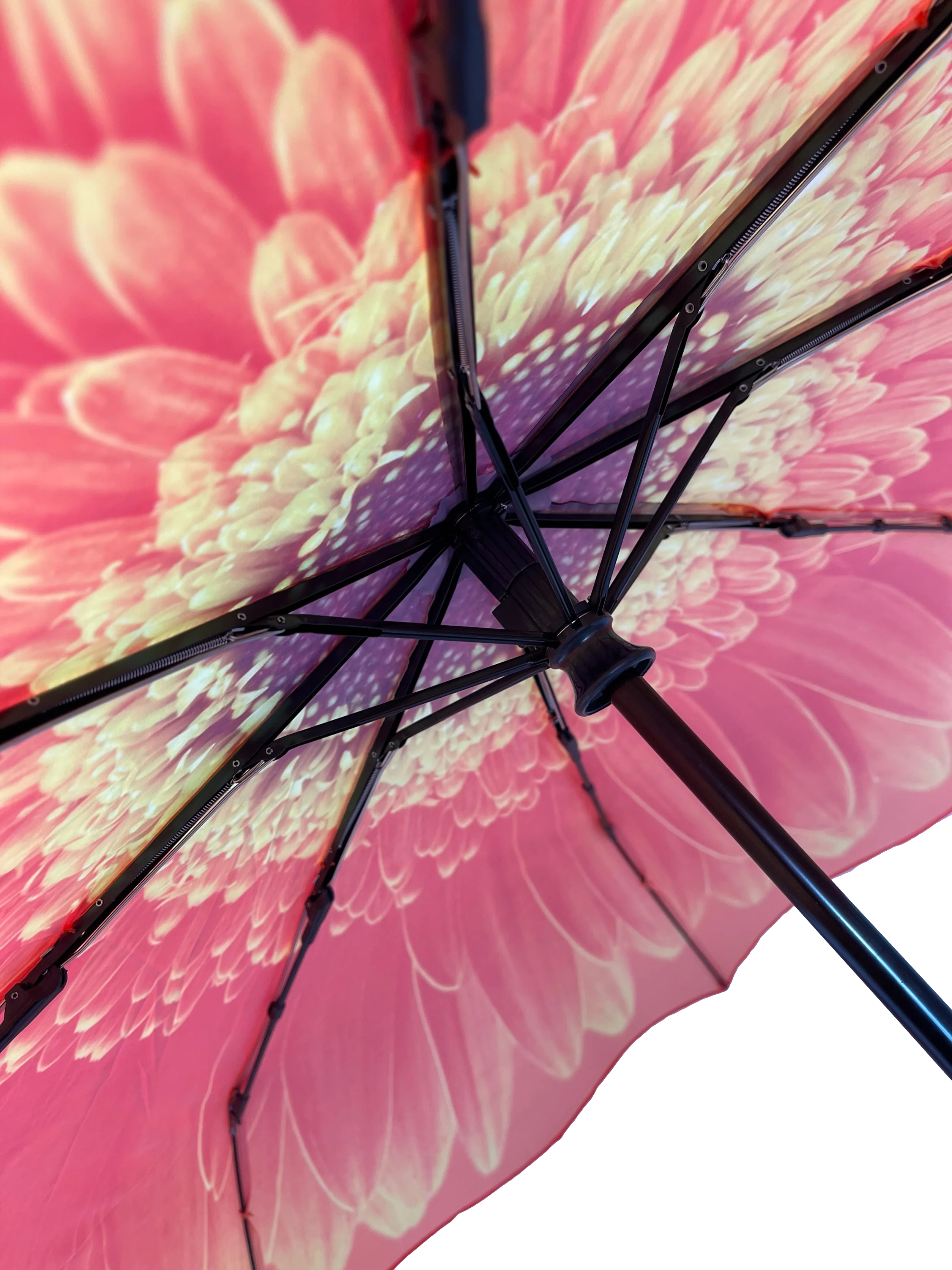 StormKing Folding Floral Umbrella Orange Daisy - Image 16